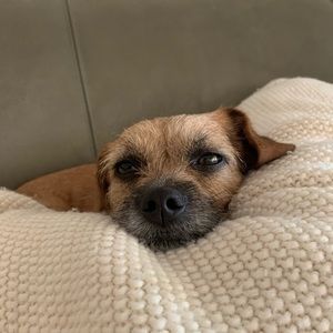 Meet your Posher, Gina